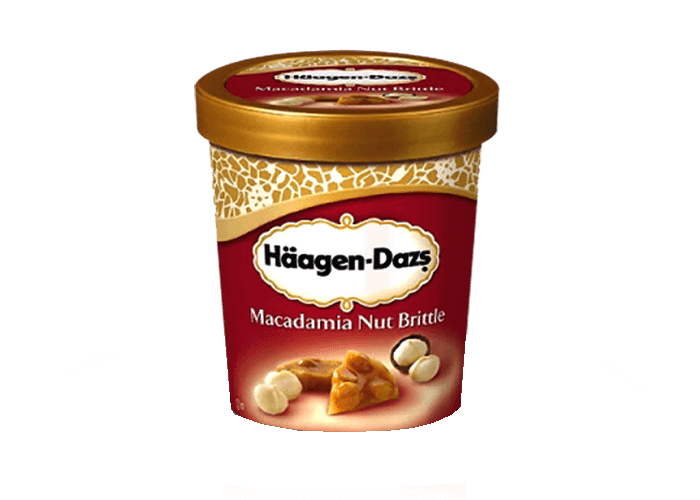 HAGEN-DAZS 460ML